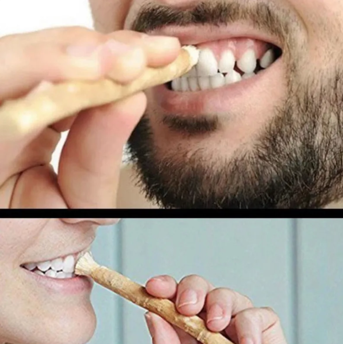 Natural Miswak Oral Stick